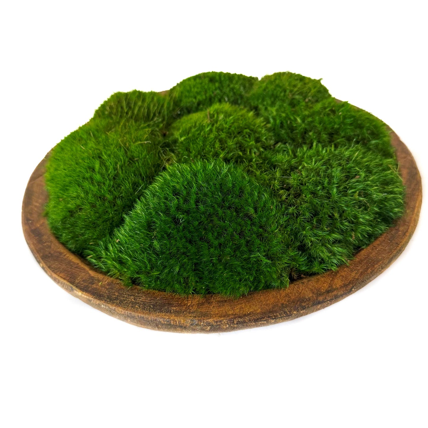 Rustic Wood Bowl with Preserved Mood Moss
