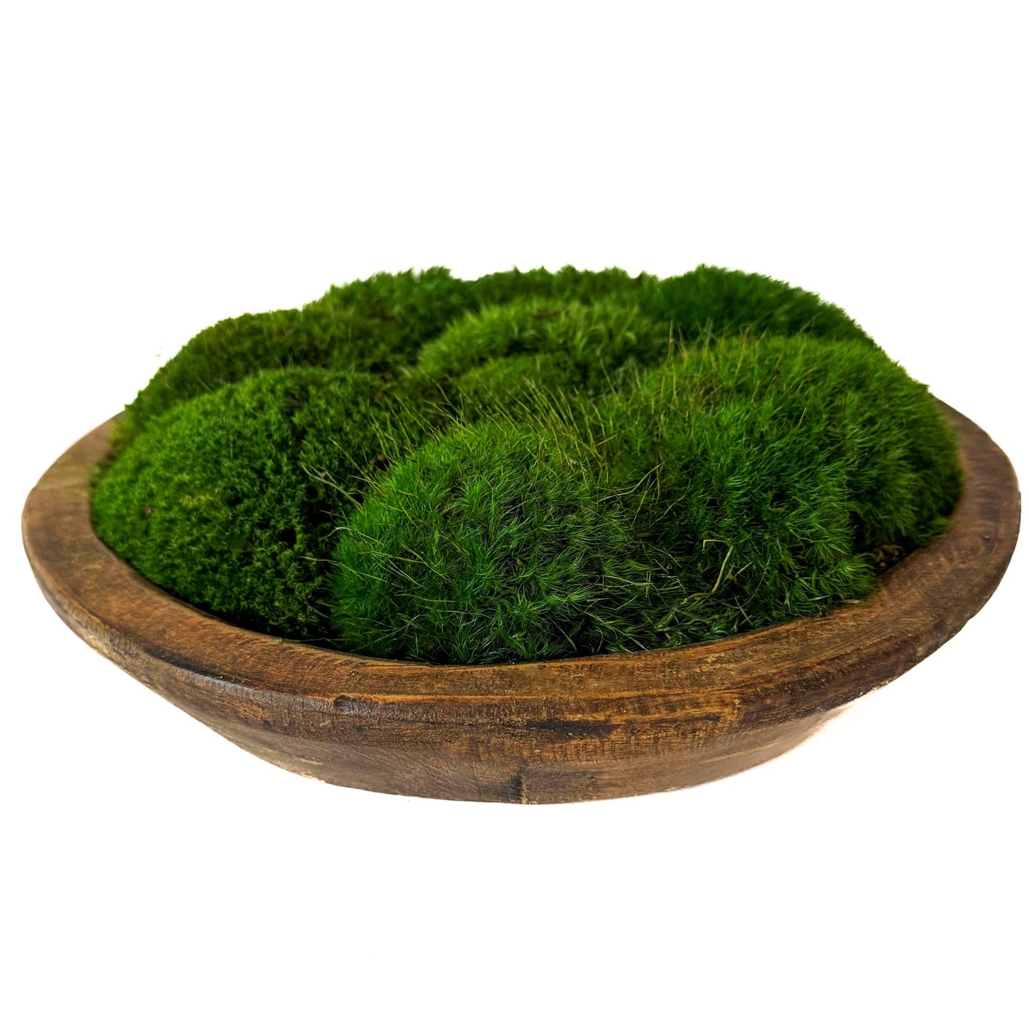Rustic Wood Bowl with Preserved Mood Moss