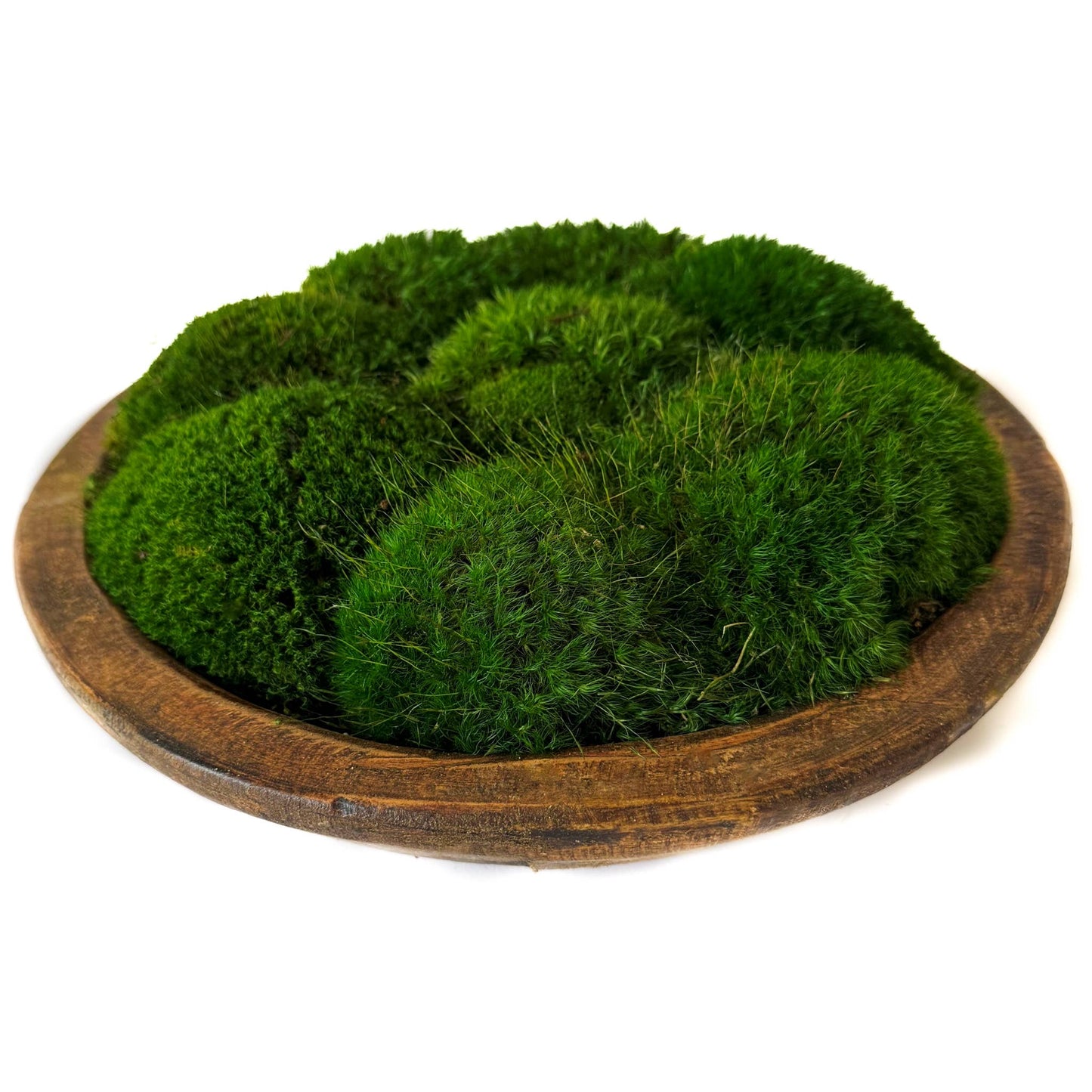 Rustic Wood Bowl with Preserved Mood Moss