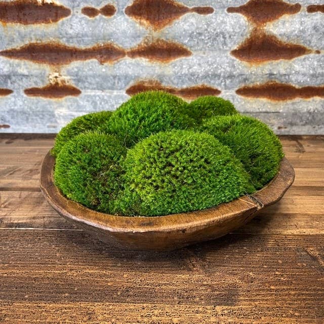 Rustic Wood Bowl with Preserved Mood Moss