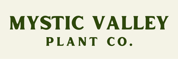 Mystic Valley Plant Co