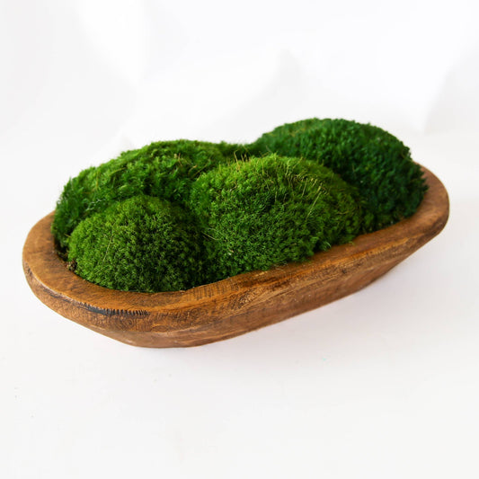 Moss Petite Wooden Dish