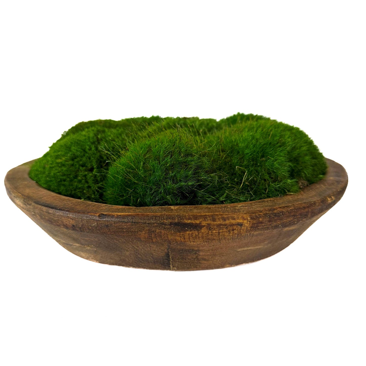 Rustic Wood Bowl with Preserved Mood Moss